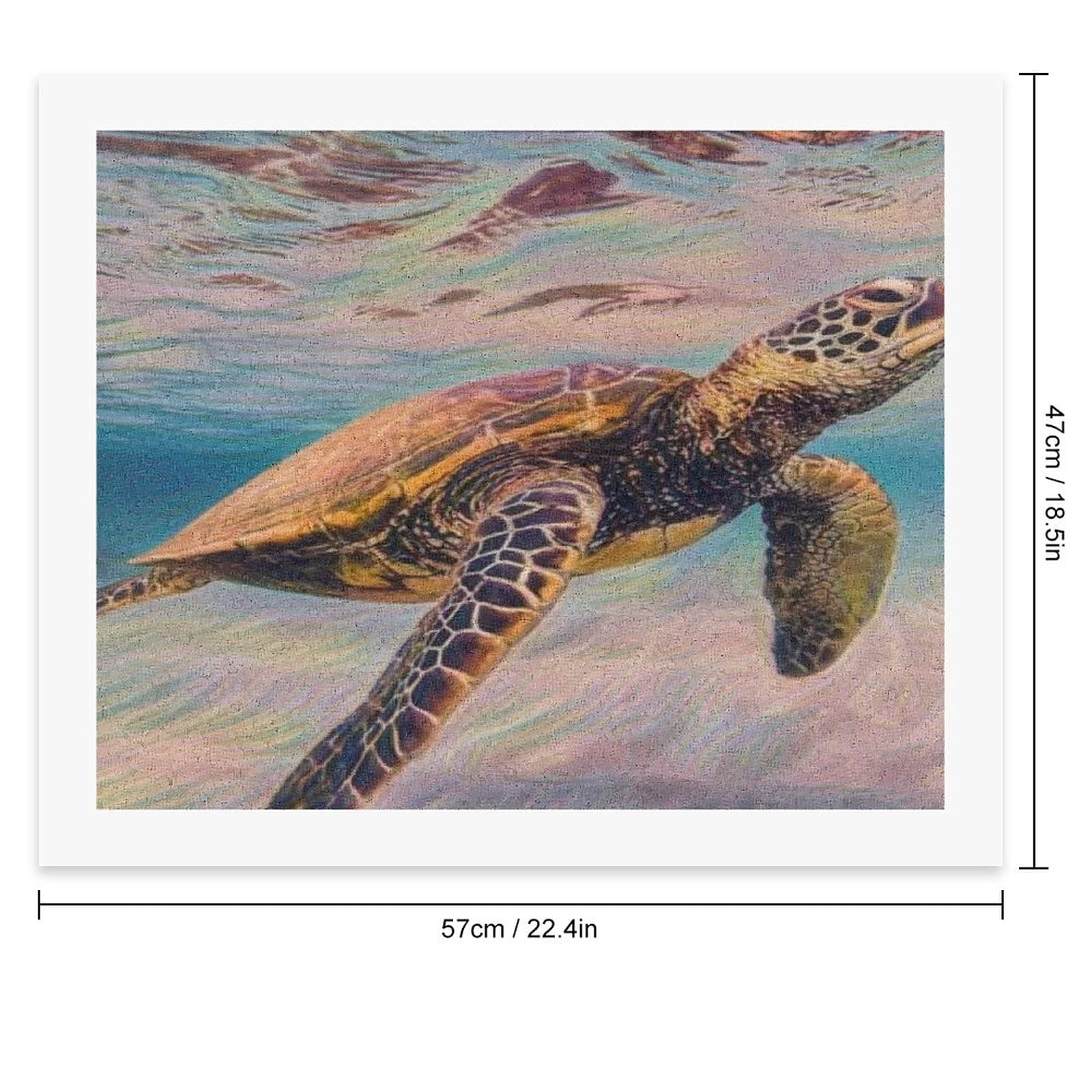 Amazon | ウミガメの水彩絵の具 DIY デジタル絵画オイルハンギング絵画